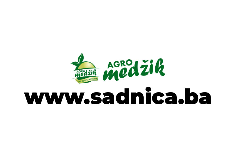 Prodaja ruža BiH