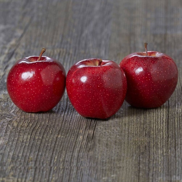 jabuka-gala-schnico-red